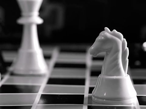 Cavallo fa Scacco Matto