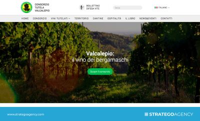 Sito Web Consorzio Tutela Valcalepio